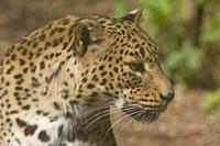 Cjp_2009_04_14_102321.jpg