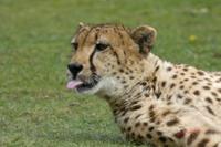Cjp_2009_04_14_124903.jpg
