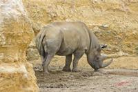Cjp_2009_04_14_125448.jpg