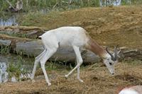 Cjp_2009_04_14_125548.jpg