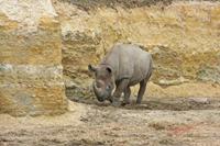 Cjp_2009_04_14_130010.jpg