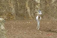 Cjp_2009_04_14_130733.jpg