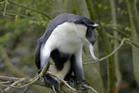 Cjp_2009_04_14_132507.jpg