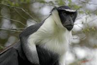 Cjp_2009_04_14_133133.jpg