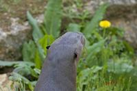 Cjp_2009_04_14_134356.jpg