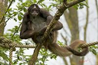 Cjp_2009_04_14_135544.jpg
