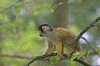 Cjp_2009_04_14_140403.jpg