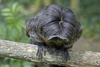 Cjp_2009_04_14_141024.jpg