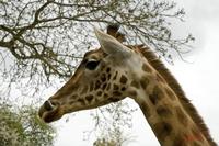 Cjp_2009_04_14_142801.jpg