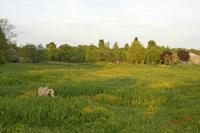 Cjp_2009_05_05_203238.jpg