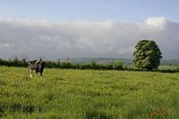 Cjp_2009_05_06_085334.jpg