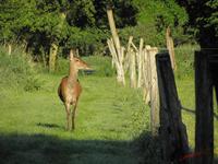 Cjp_2009_05_23_074024.jpg