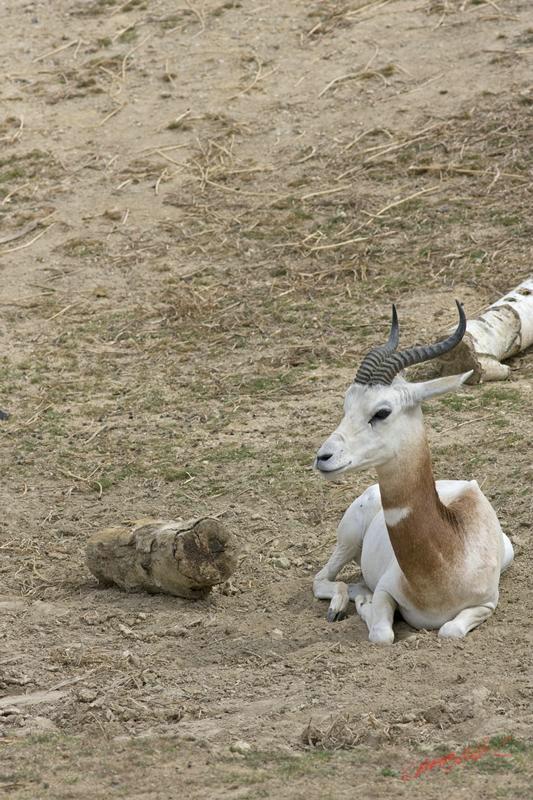Cjp_2009_07_14_161434.jpg