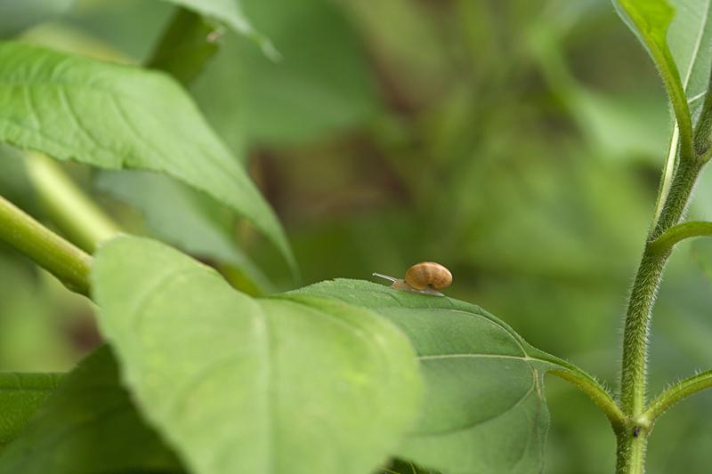 Cjp_2011_07_21_094815.jpg