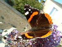 Cjp_2002_1011_160243AA.jpg