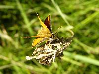 Cjp_2003_06_16_182618.jpg
