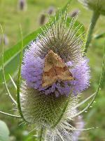 Cjp_2003_07_20_174651.jpg