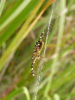 Cjp_2003_07_23_155415.jpg