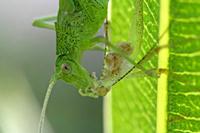 Cjp_2006_07_03_085813.JPG