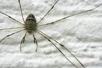 Cjp_2007_09_25_135802.jpg