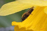 Cjp_2008_04_02_100605.jpg
