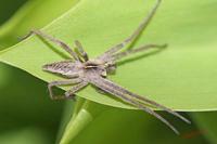 Cjp_2008_04_19_163949.jpg