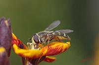 Cjp_2008_04_26_162713.jpg