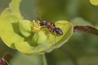 Cjp_2008_04_26_163029.jpg