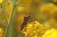 Cjp_2008_05_04_094558.jpg