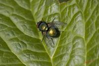 Cjp_2008_05_26_101809.jpg