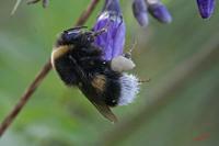 Cjp_2010_07_06_072753.jpg
