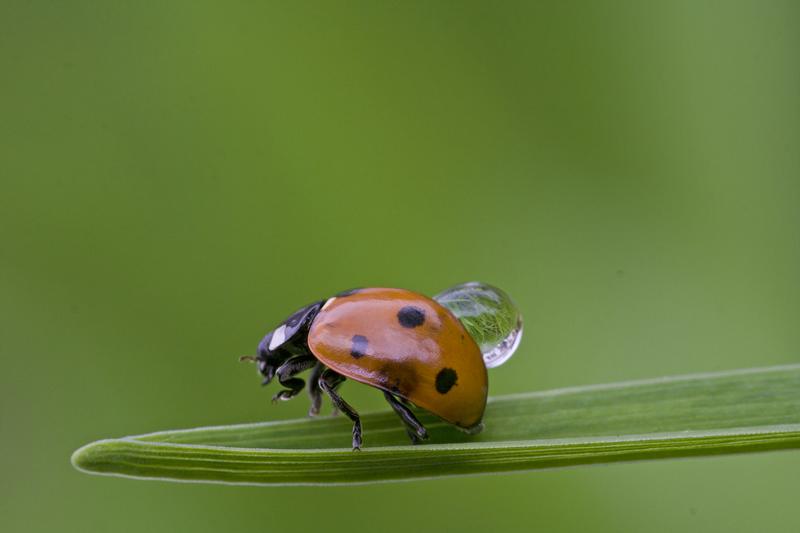 Cjp_2011_08_14_100158.jpg