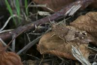 Cjp_2010_08_26_154806.jpg