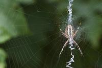 Cjp_2010_08_26_160329.jpg