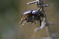 Cjp_2010_09_01_081548.jpg