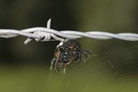 Cjp_2010_09_01_081633.jpg