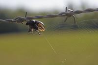 Cjp_2010_09_01_081722.jpg