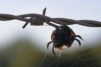 Cjp_2010_09_01_081819.jpg