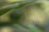 Cjp_2011_04_10_075122.jpg