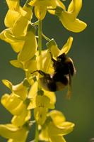 Cjp_2011_04_25_164744.jpg