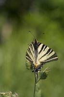 Cjp_2011_04_26_141536.jpg