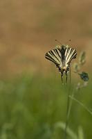 Cjp_2011_04_26_153224.jpg