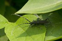 Cjp_2011_04_28_132714.jpg