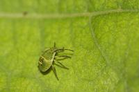 Cjp_2011_06_20_145804.jpg
