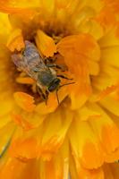 Cjp_2011_07_21_100432.jpg