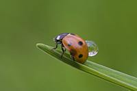 Cjp_2011_08_14_095843.jpg