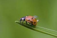 Cjp_2011_08_14_095900.jpg