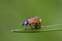 Cjp_2011_08_14_100138.jpg
