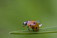 Cjp_2011_08_14_100152.jpg