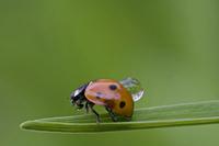 Cjp_2011_08_14_100158.jpg